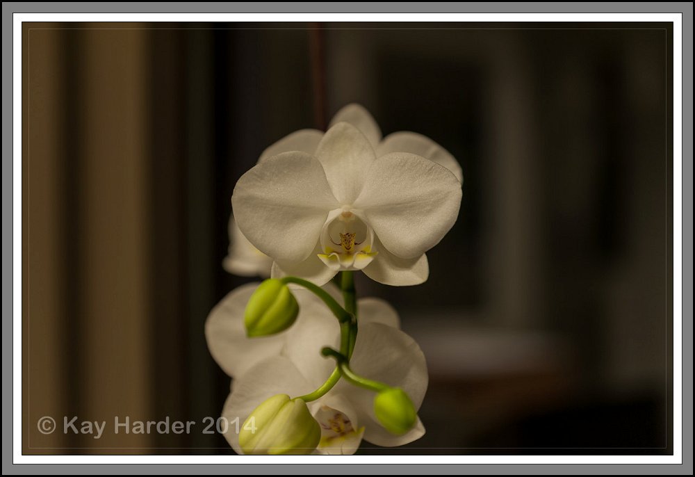 20140117_Ruppersdorf und Labor_028.jpg